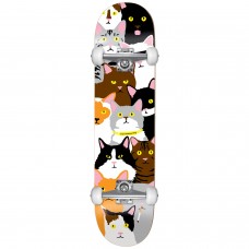 Enjoi Cat CollageYouth FP 7.0 Skateboard Complete - Little Kids'