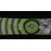 Nitro Ripper x Volcom Snowboard - Big Kids' 2023