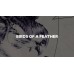 CAPiTA Birds of a Feather Snowboard - Women's 2022