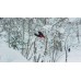 DC Shuksan Boa Snowboard Boots 2020